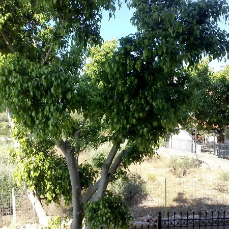 Areti Petalídhion
